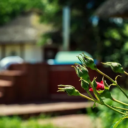 Ferienhaus Dworek Krola Stanislawa - Malinowy *