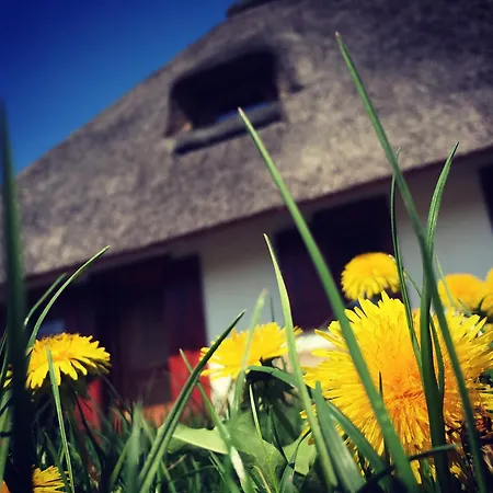 Dworek Krola Stanislawa - Malinowy * Węgorzewo