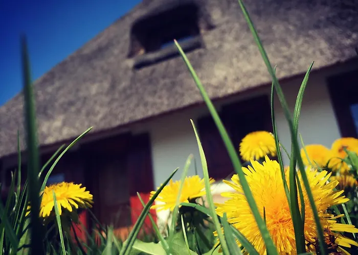 Dworek Krola Stanislawa - Malinowy * Węgorzewo