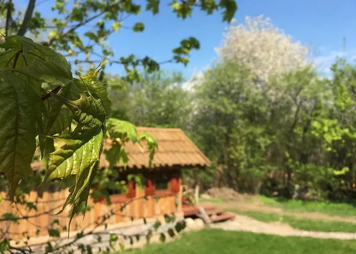 Dworek Krola Stanislawa - Malinowy 度假居